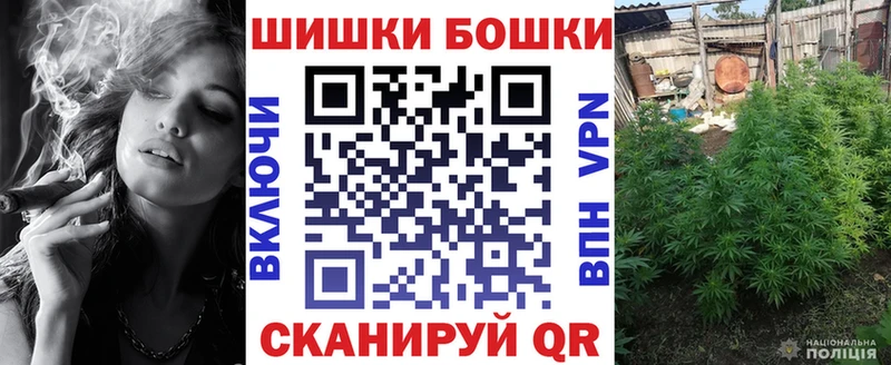 ГАШ Новодвинск
