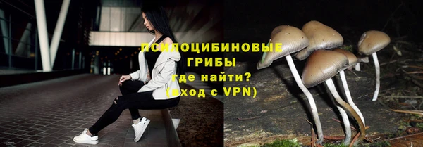 хмурый Алзамай