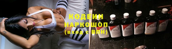 хмурый Алзамай