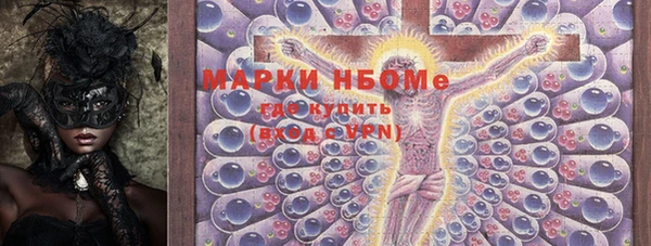 хмурый Алзамай