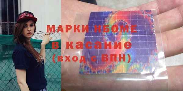 хмурый Алзамай