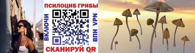 Псилоцибиновые грибы ЛСД  Новодвинск 